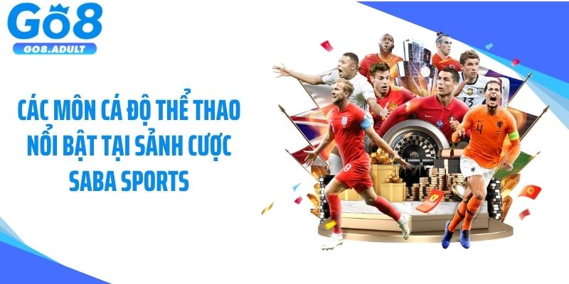 Các môn cá độ thể thao nổi bật tại sảnh cược Saba Sports