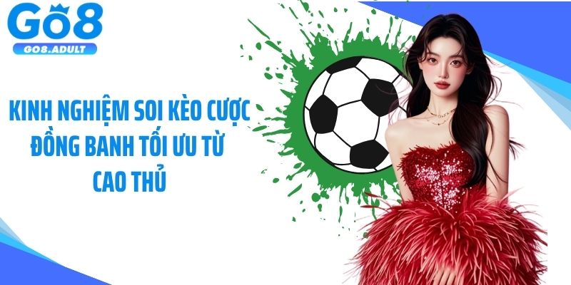 Kinh nghiệm soi kèo cược đồng banh tối ưu từ cao thủ