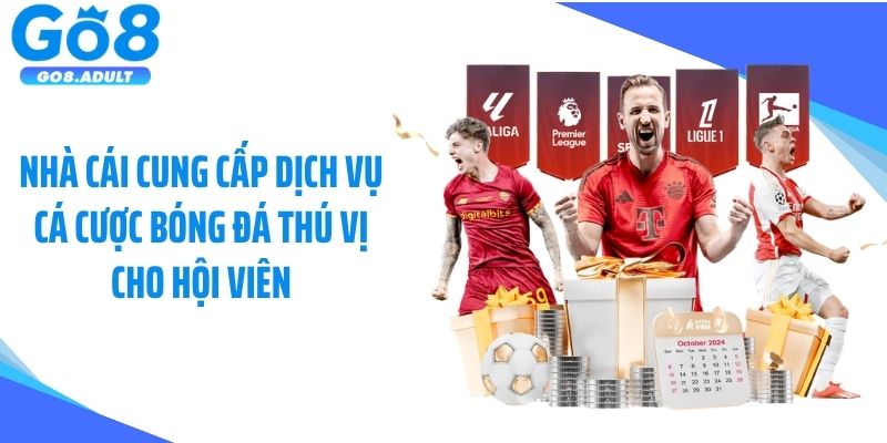 Nhà cái cung cấp dịch vụ cá cược bóng đá thú vị cho hội viên