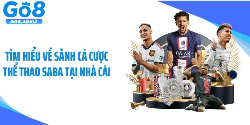 Tìm hiểu về sảnh cá cược thể thao Saba tại nhà cái